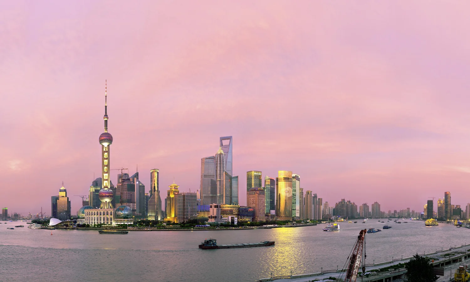 Pudong Rose — Shanghai